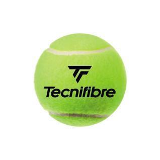 Set of 4 tennis balls Tecnifibre Club Pet