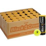 Box of 24 tubes of 3 balls Black Crown